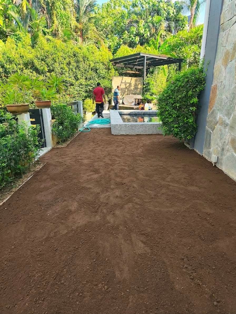 Residential Garden