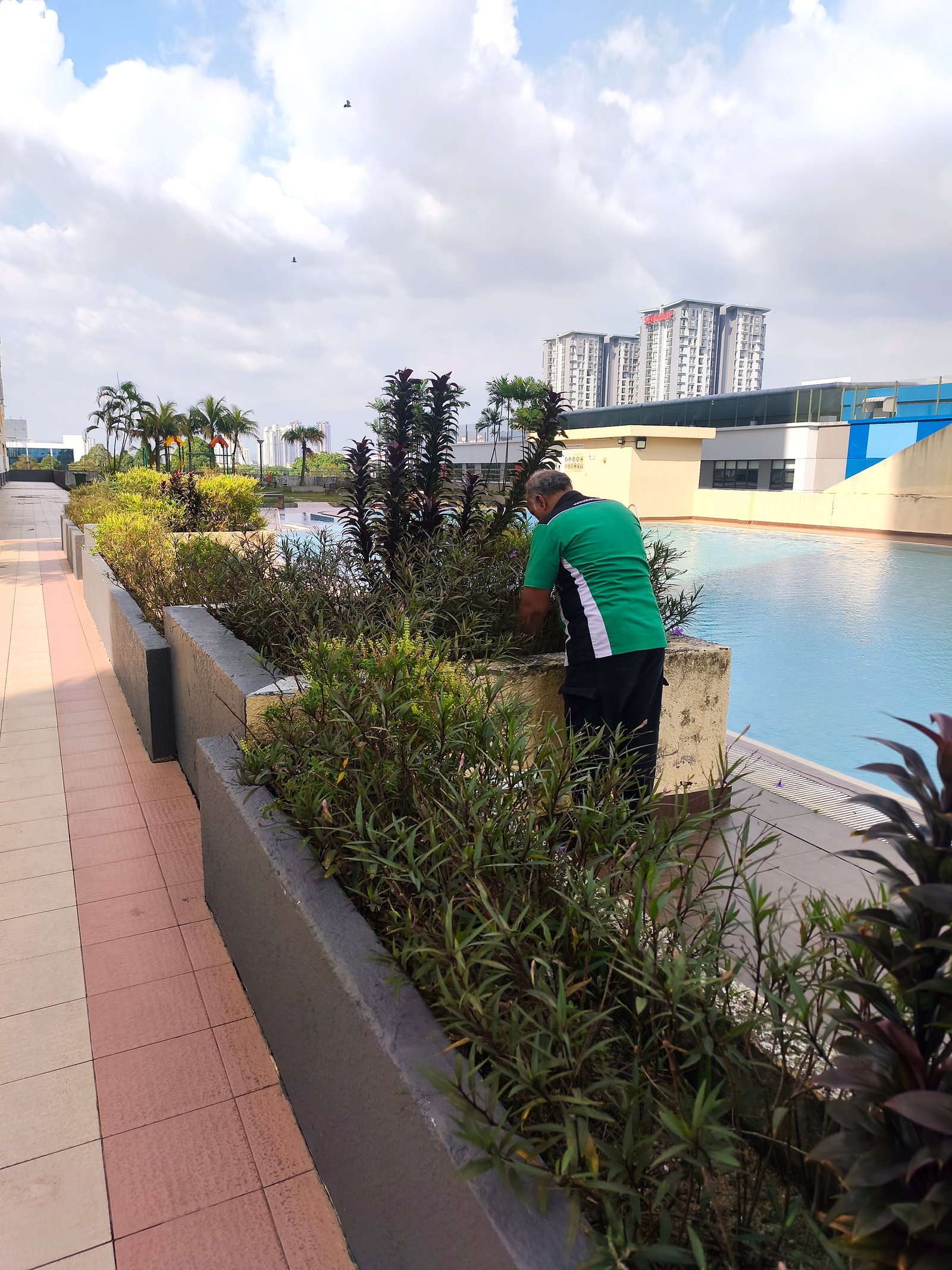 Lawn Maintenance