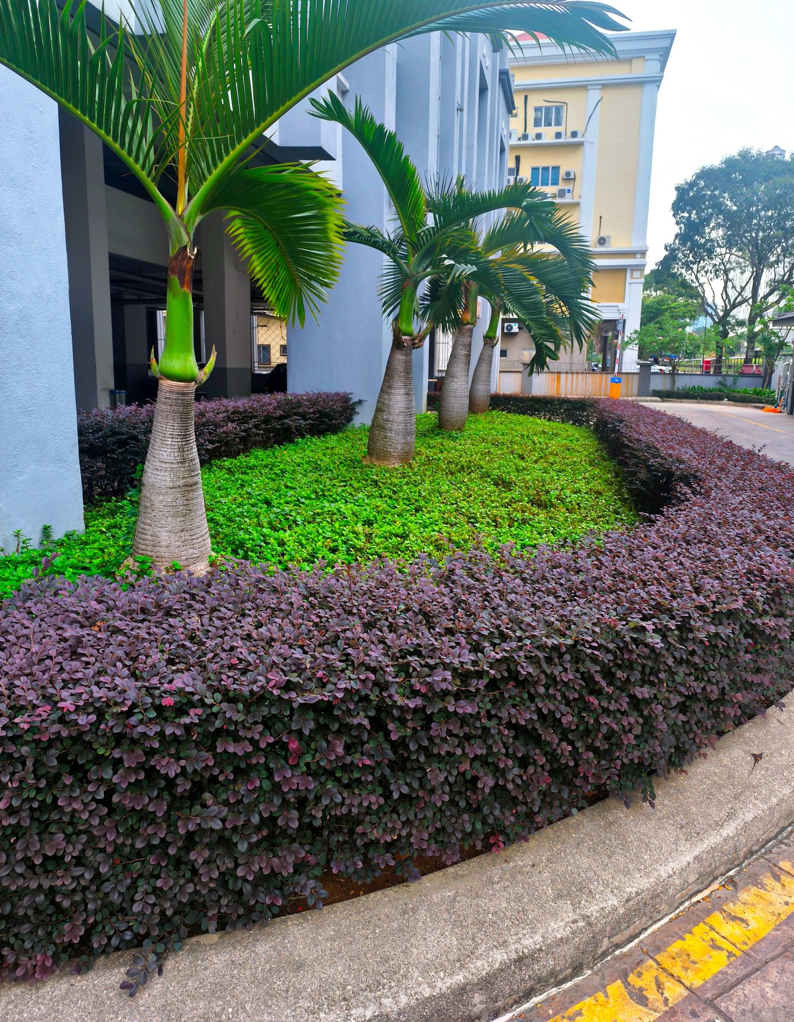 Gardening & Landscaping Services in Petaling Jaya